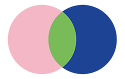 circulosweb